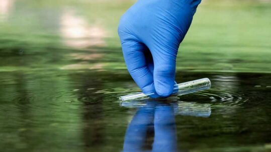 Microcistinas durante el proceso de análisis de agua